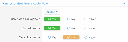 Profile-Audio-Player-Usergroup-Permissions-v102.png