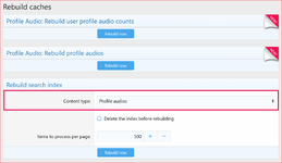 Profile-Audio-v2-Rebuild-Caches.png
